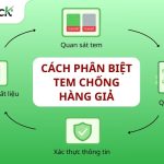 cách phân biệt tem chống hàng giả
